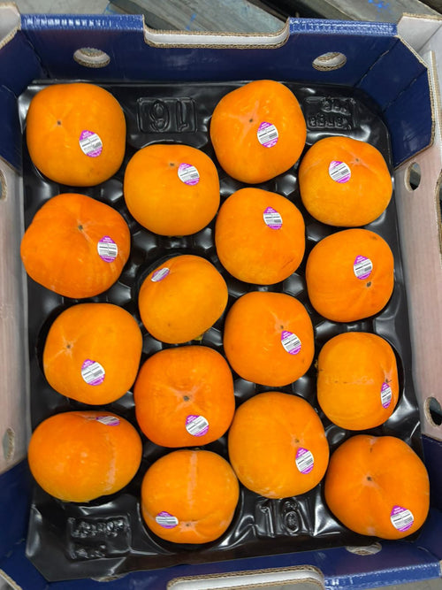 Australian Persimmon 16pcs (Box)